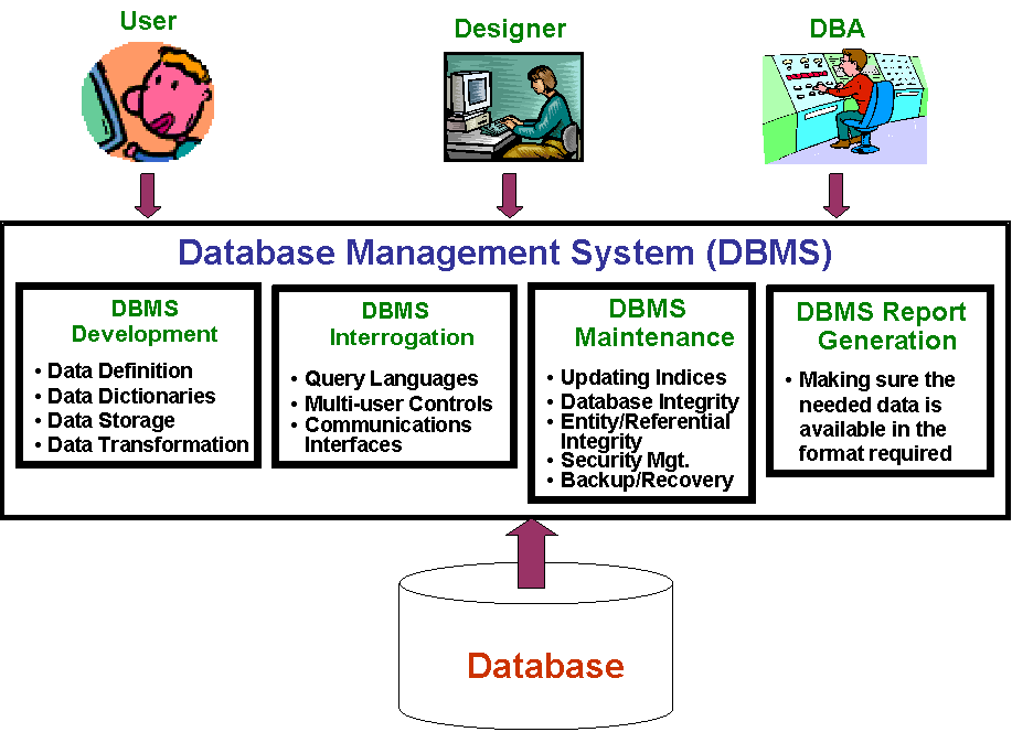 what are the different types of dbms